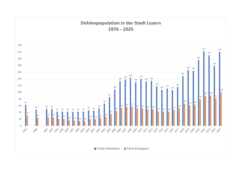 Dohlen_Statistik_2025