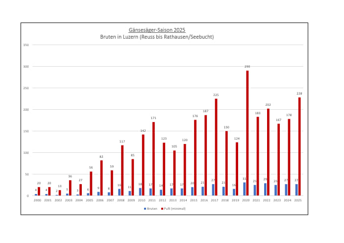 Gänsesäger_statistik_2025