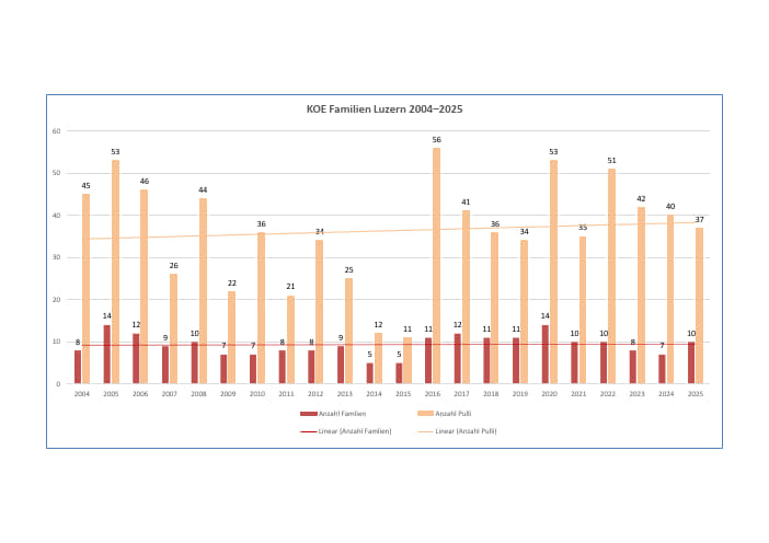 Kolbenenten Familien 2004-2025
