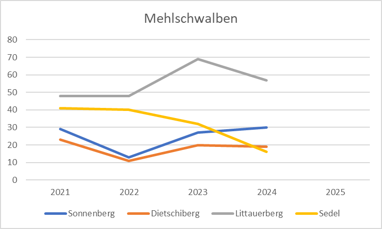Statistik Mehlschwalben 2025