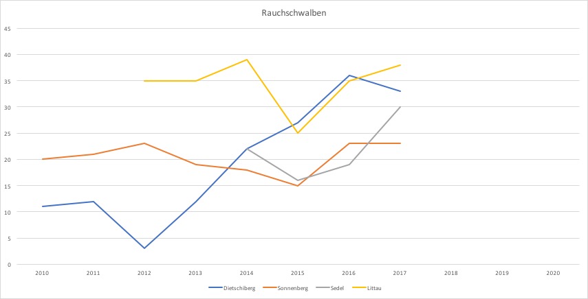 Mehlschwalben 2020