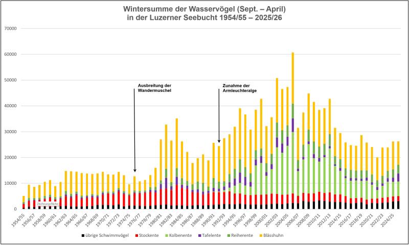 Wasservogel_history_2026