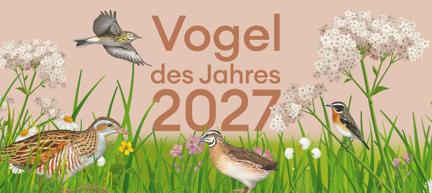 Vogel des Jahres 2027