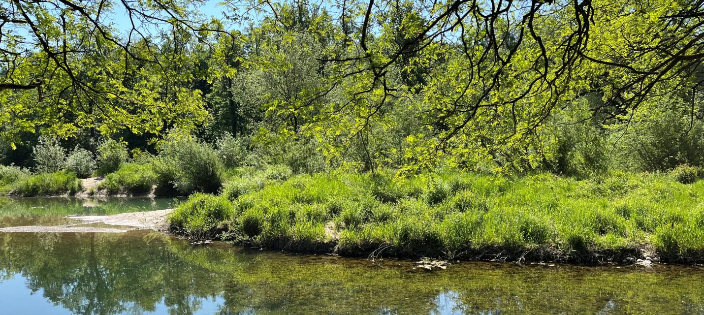Schacheninsel