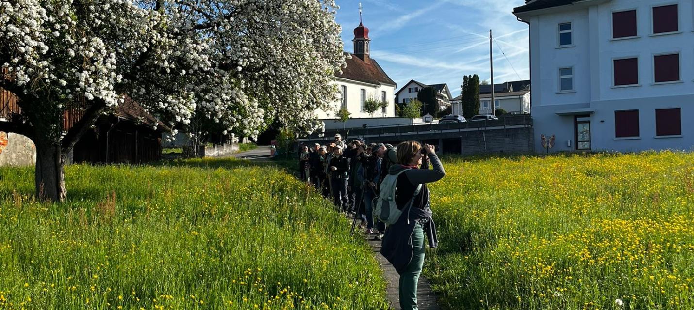 exkursion_kleinwangen